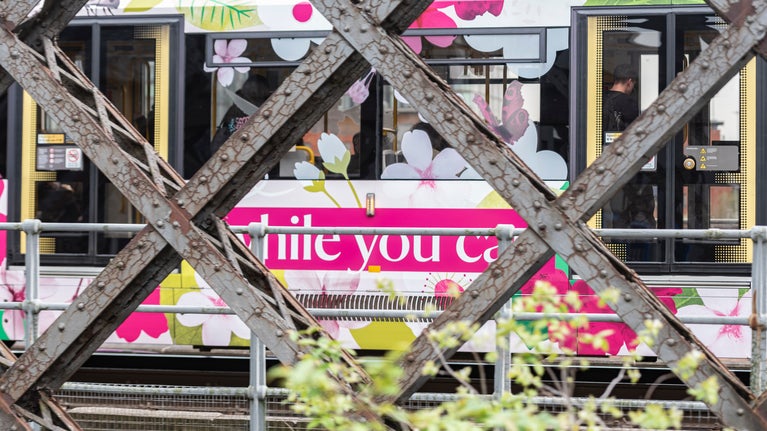A Blossom branded tram is visible through the lattice ironwork of Castlefield Viaduct in Manchester during Bloomtown festival. The tram is completely decorated in shades of pink with blossom flowers and leaves.